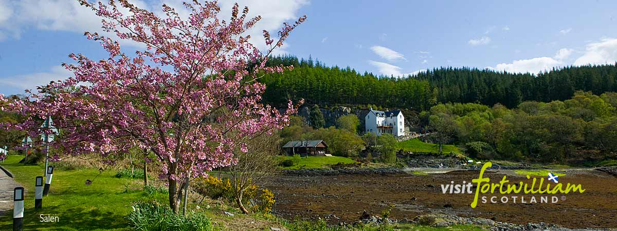 Bloosom at Salen. Copyright Visit Fort William Ltd